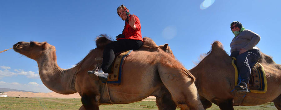 Ride on Bactrian Camels