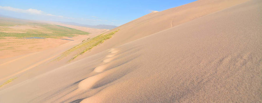 Gobi Tour