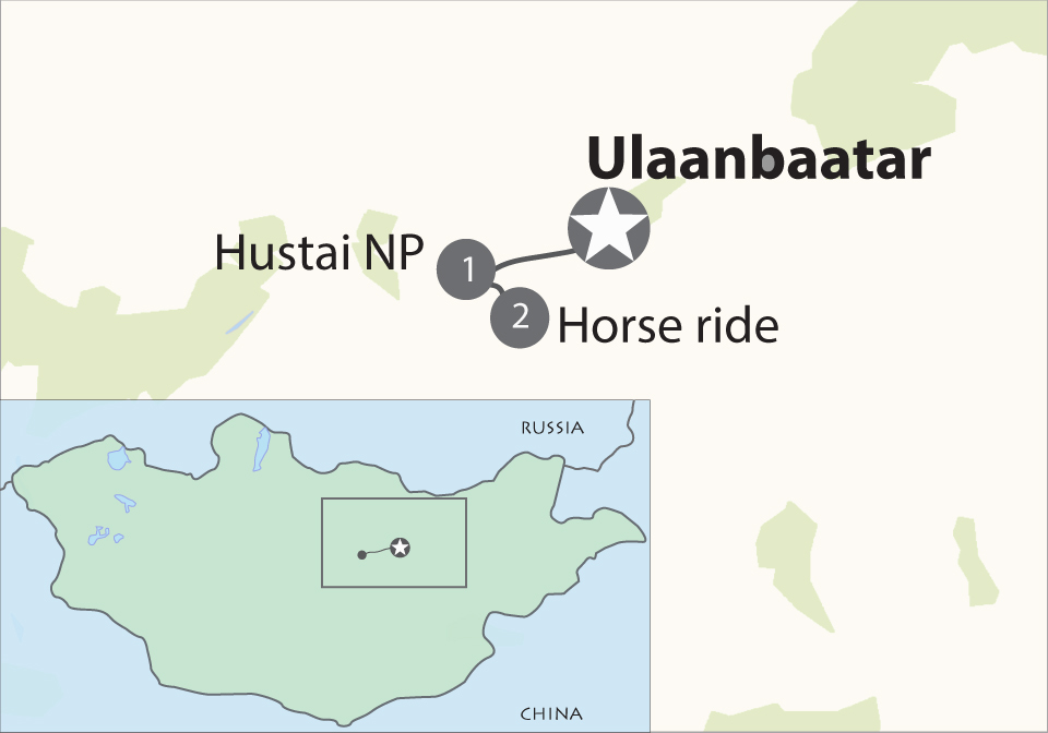 Horseback Adventure in Khustai National Park (2 days)