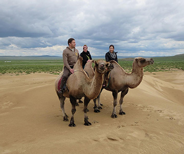 Terelj & Khustai NP, Elsen Tasarkhai, Kharkhorin Tour (5 days)