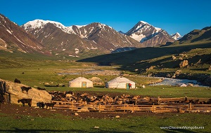 Haven't been to Mongolia? Here is what you have been missing