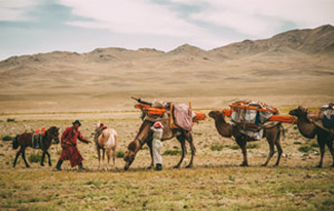 Mongolian nomadic family