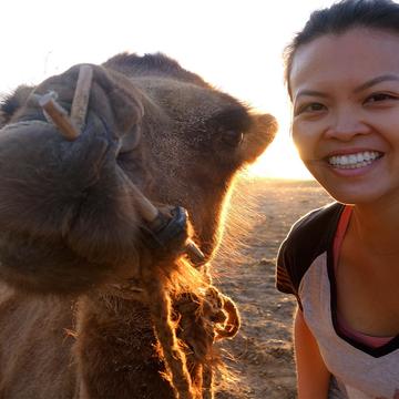 Camel Trekking Through Mongolian Gobi Tour (8 days)