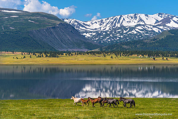 Opera and Ballet in Mongolia