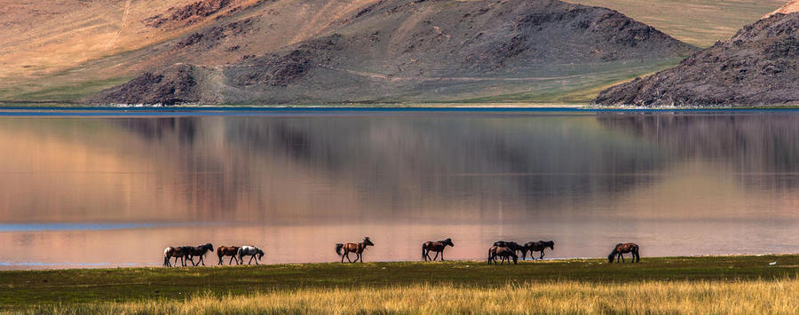 Beauty of Mongolia Tour