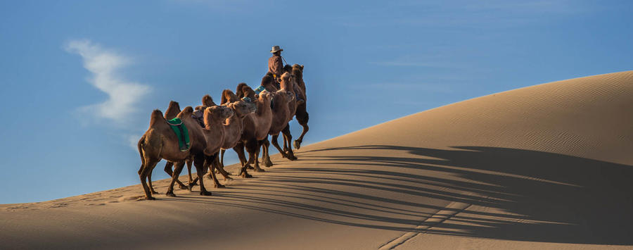 Visit with Camel Herders