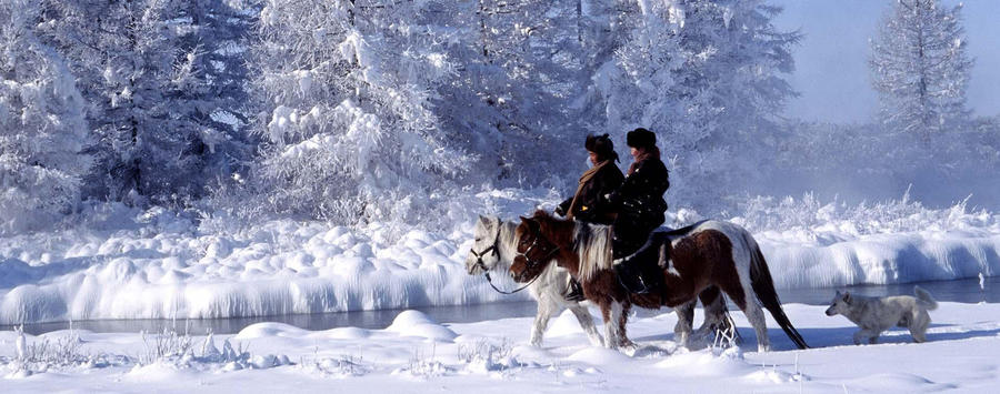 Explore Mongolia on Horseback