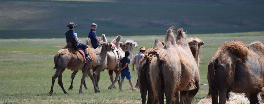 Visit with Camel Herdsman