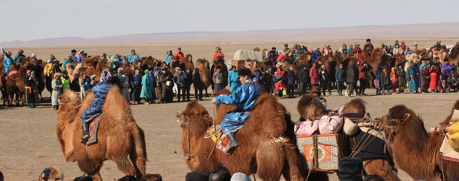 South Gobi-Camel festival