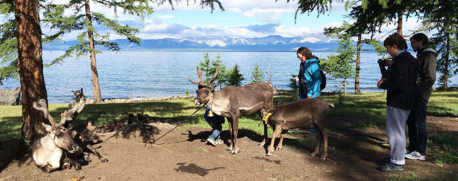 Visit with Reindeer People