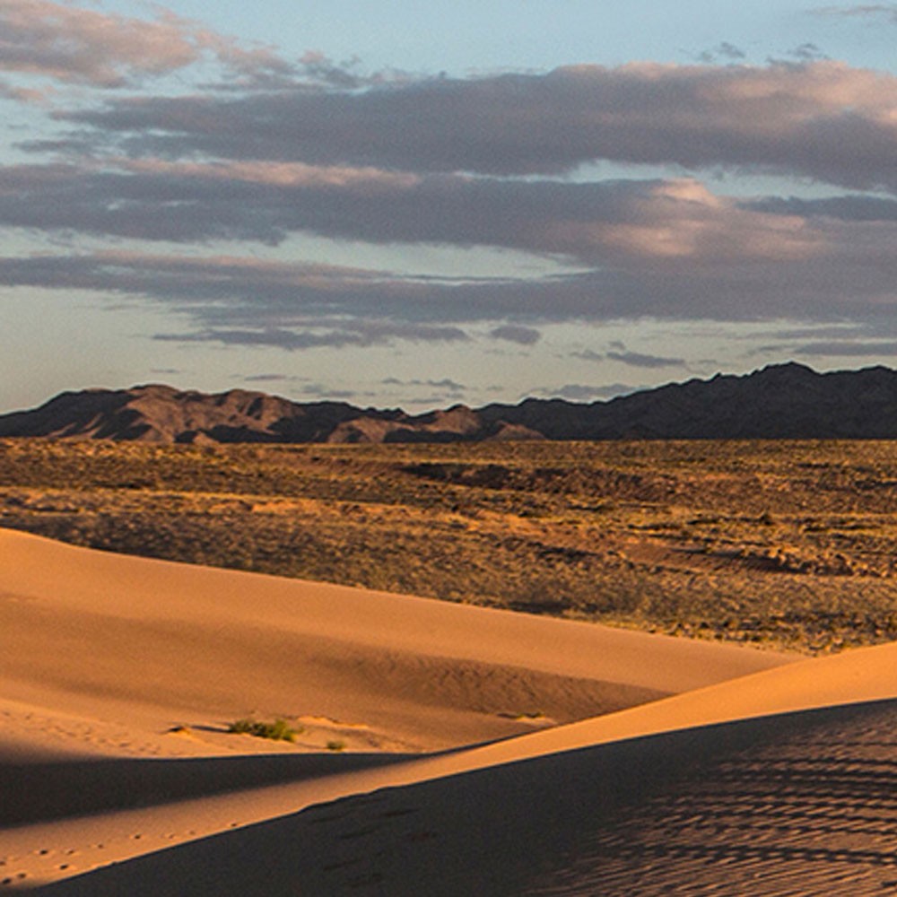 The Enigmatic Beauty of the Mongolian Gobi Desert: Exploring its Sand Ecosystem and Unpredictable Weather