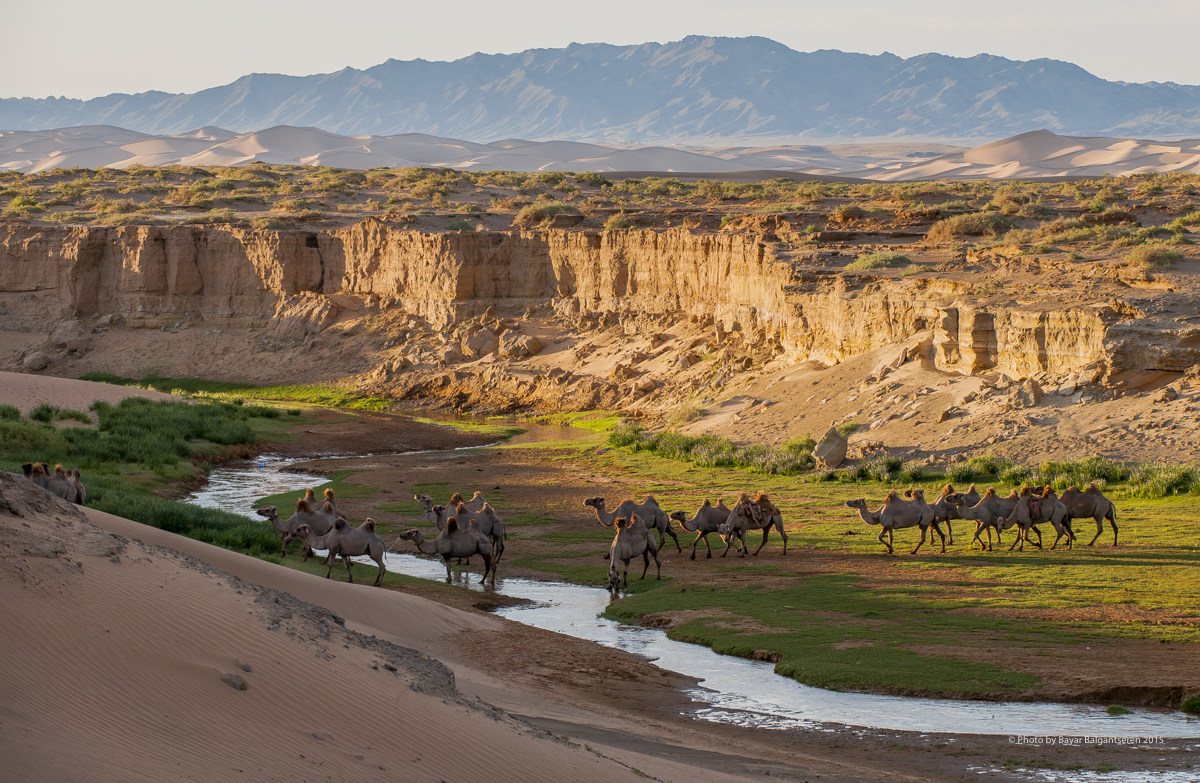 Mongolian Gobi Geography