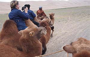 ​5 MUST DO activities when visiting the Gobi Desert