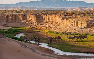 몽골의 숨겨진 보석: 60명 이상의 여행객을 위한 8가지 경험