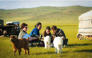 How to Choose the Best Tour Company for Your Trip to Mongolia