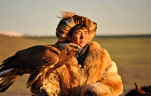 How to train eagles to hunt in Mongolia?