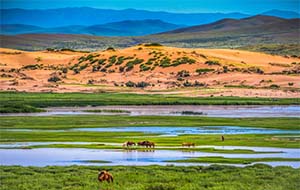 b-thumb-mongolian-gobi