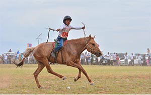 Mongolian Horse Race