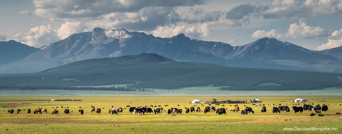 c-booming-tourism-mongolia.jpg