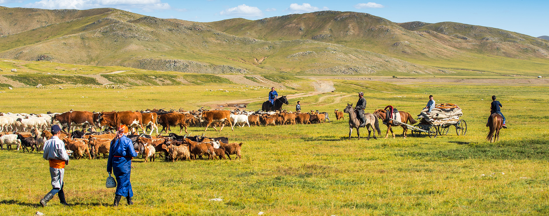 nomads tours mongolia