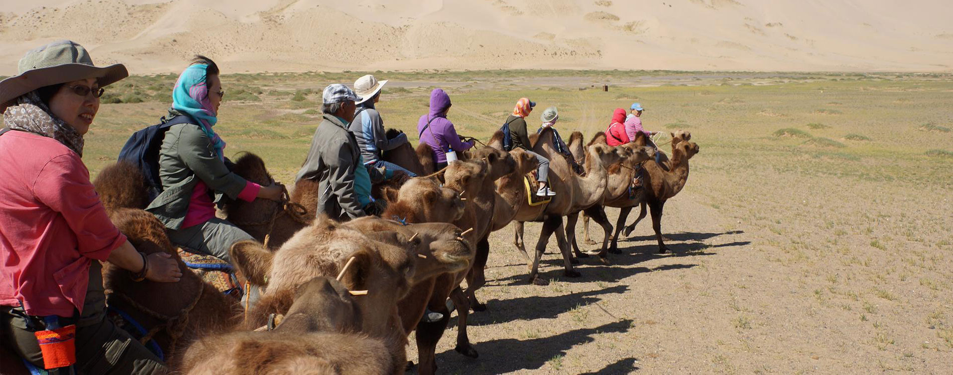 Ride on a two-humped camel