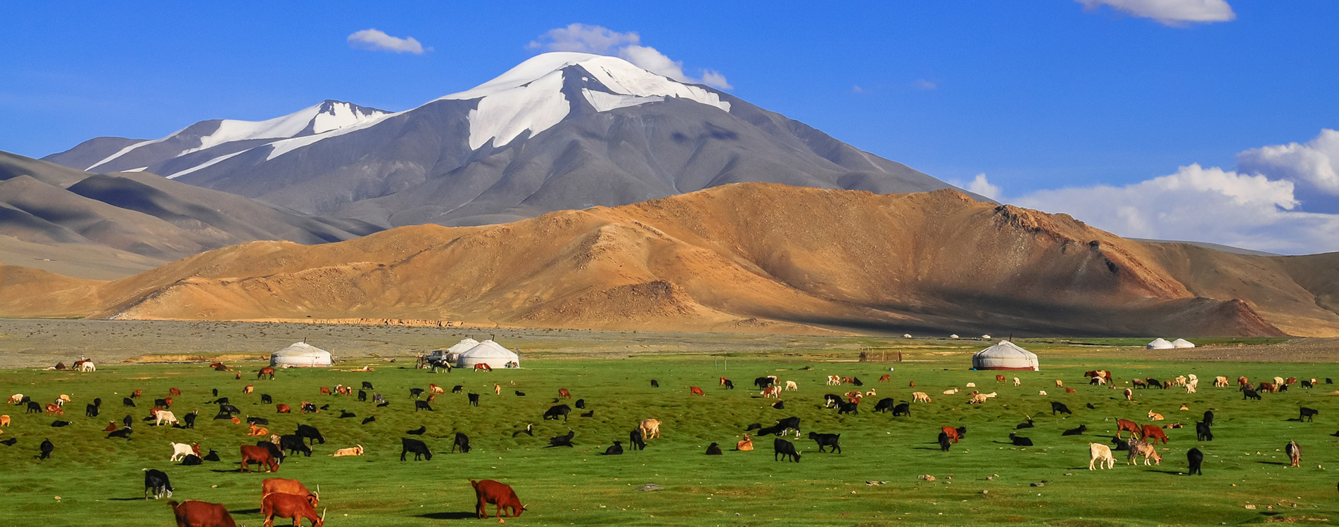 Fun Activities for Your Kids on Their Trip to Mongolia