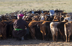 Top 5 Misconceptions about Traveling in Mongolia