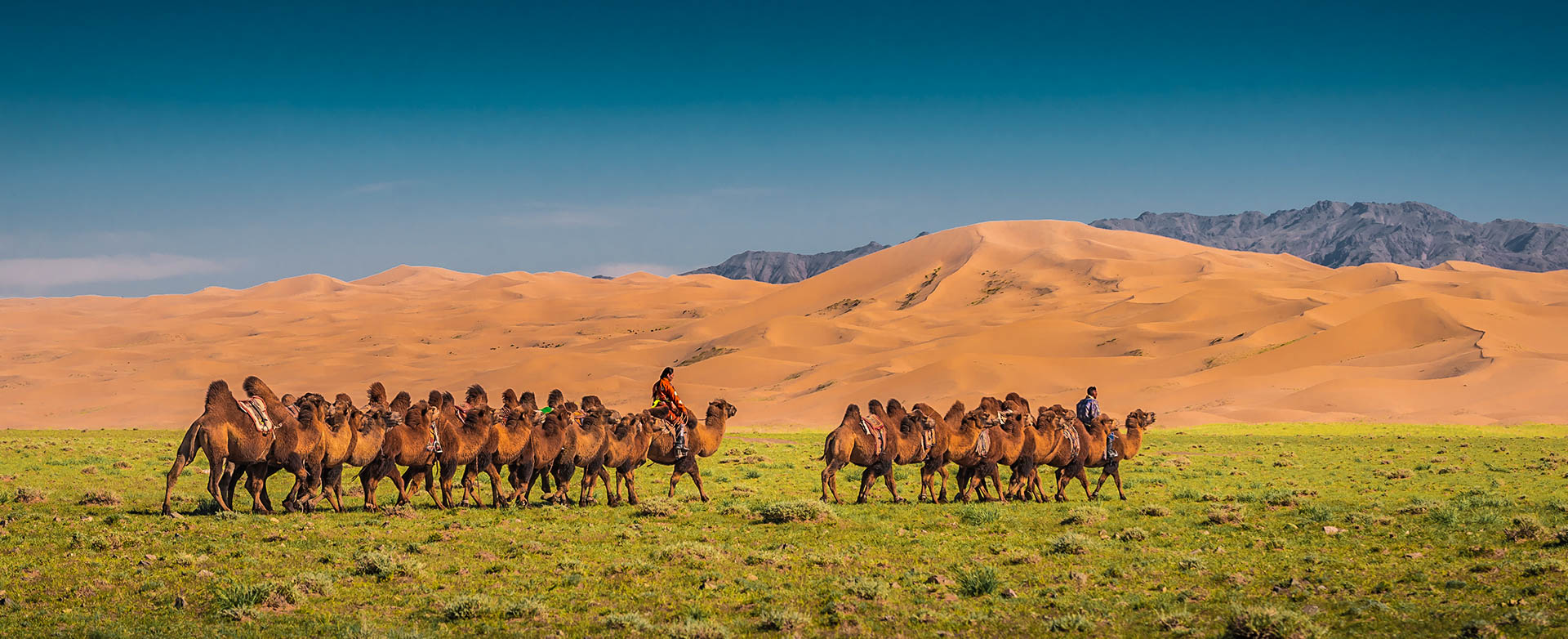 home-cover-2-gobi-desert