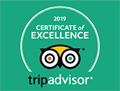 Trip Advisor Excellence Award Discover Mongolia Travel