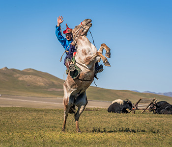 Mongol Nomadic Show (1 day)