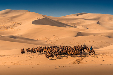 Hongor sand dunes