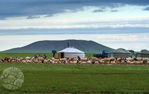 What Are Some Interesting Experiences Not to Miss When Visiting Mongolia?